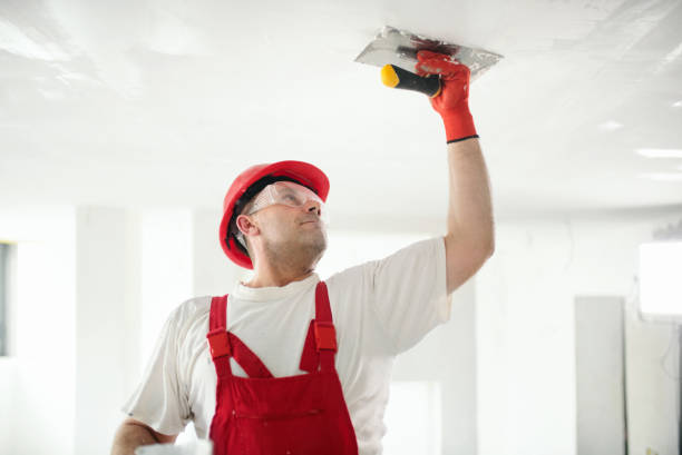 Best Eco-Friendly and Low-VOC Painting  in Topanga, CA